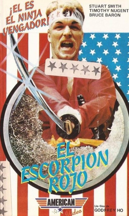 Ninja Destroyer