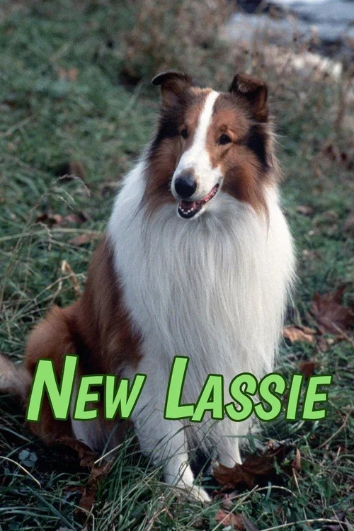 Nové příběhy Lassie