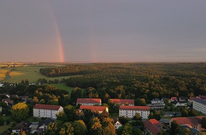 O datlech a dutinách
