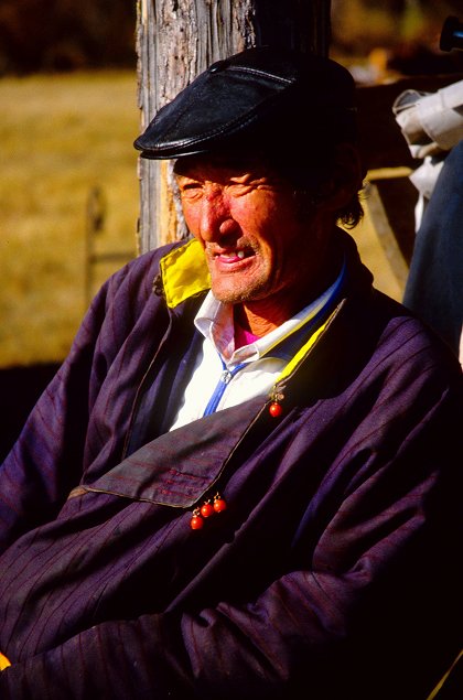 Obří ryby