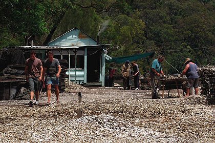 Oyster Farmer
