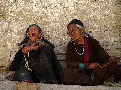 Pashmina