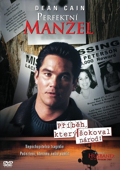 Perfektní manžel