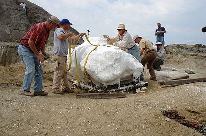 Pitva dinosaura