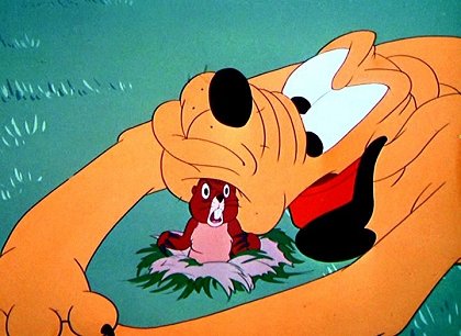Pluto a sysel