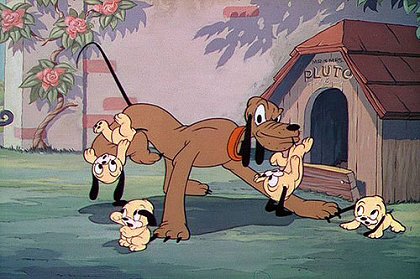 Pluto's Quin-puplets