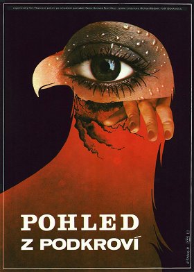 Pohled z podkroví