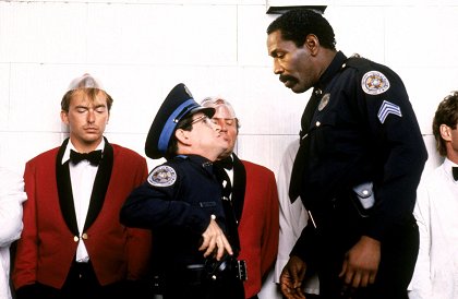 Policejní akademie 3