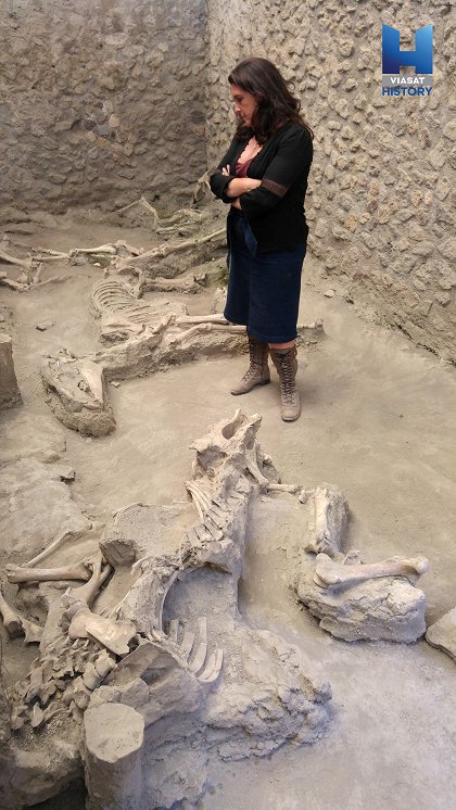 Pompeje: blížící se katastrofa