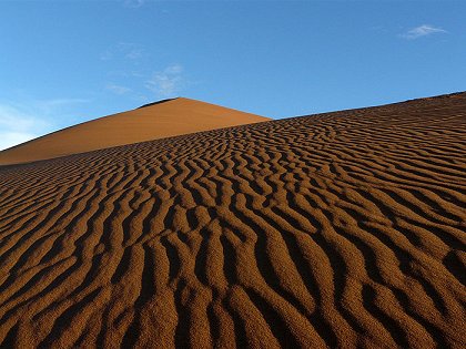 Poušť Namib - boj o přežití