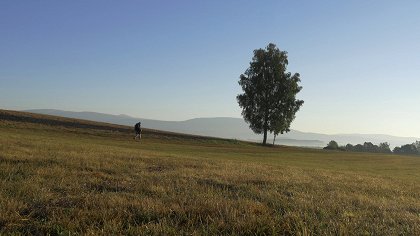 Pouť krkonošská