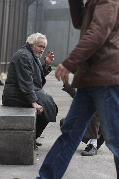 Prorok