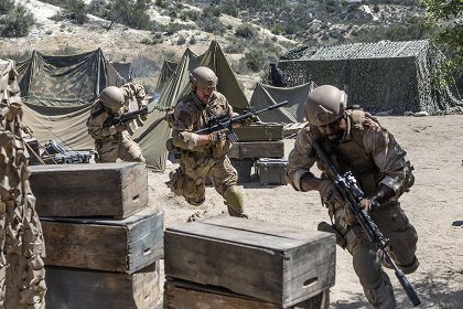 Rogue Warfare