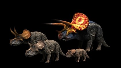 Rozluštění dinosaura
