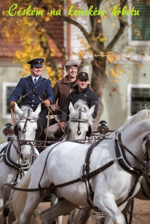 Rytířský souboj