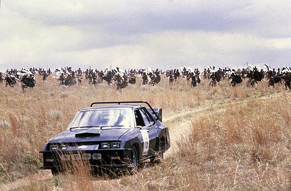 Safari 3000