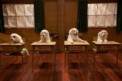 Santa Paws 2: The Santa Pups