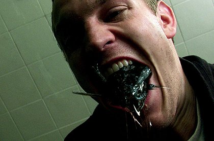 Scourge