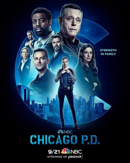 Policie Chicago – Série 10