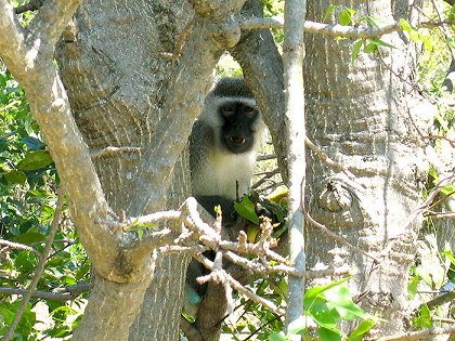 Objevování pravdy – Série 3