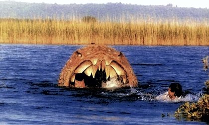 Shark: Rosso nell'oceano
