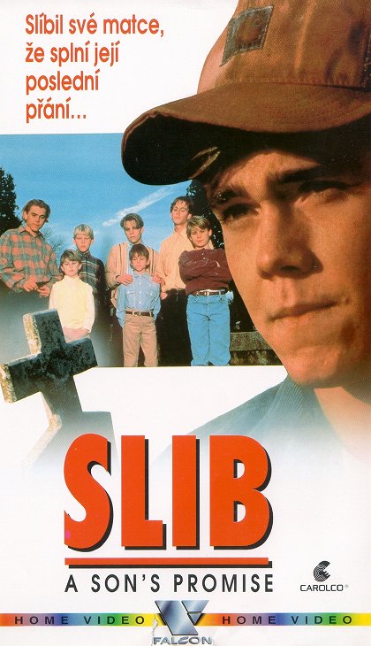 Slib