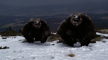 Smrtící sestup