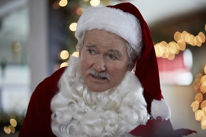 Tajemství vánočního jmelí