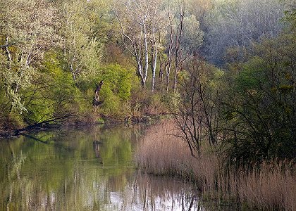 Tajemství zaplaveného lesa: Národní park Dunaj