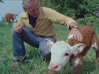 The Animals Film