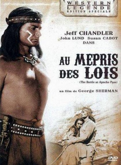 The Battle at Apache Pass