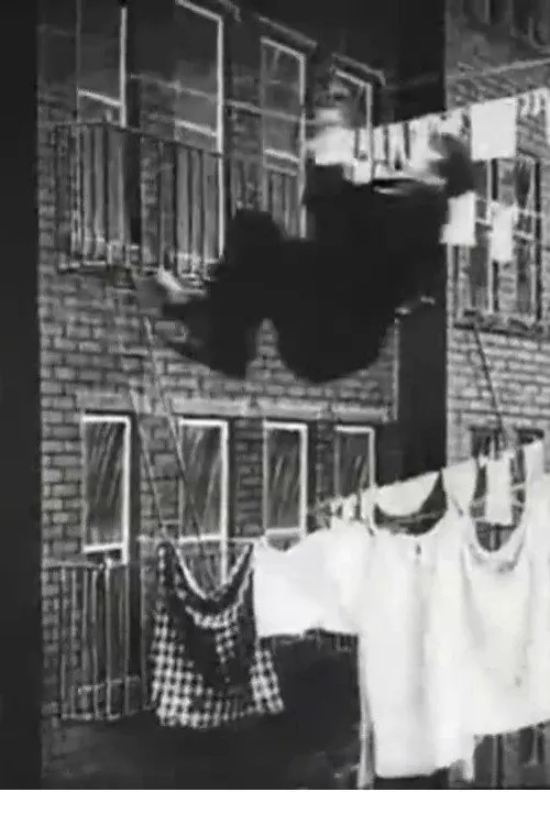 The Burglar's Slide for Life