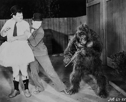 The Chimp
