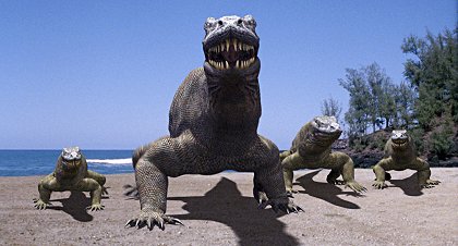 The Curse of the Komodo