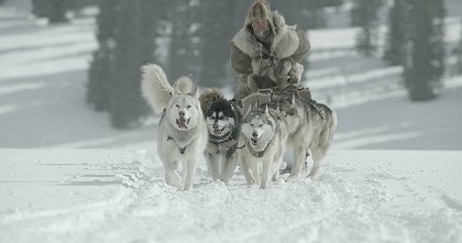 The Great Alaskan Race