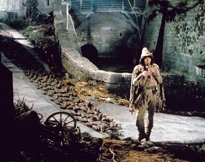 The Pied Piper