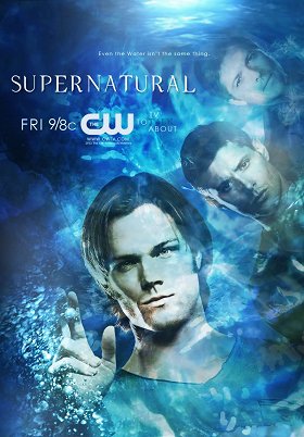The Scar
