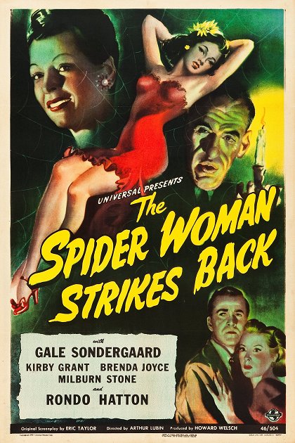 The Spider Woman Strikes Back