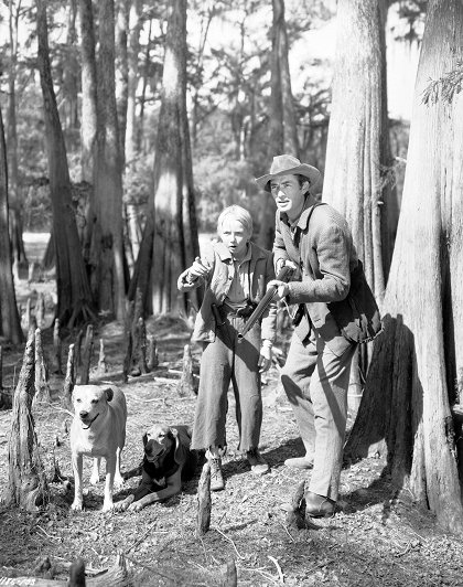 The Yearling