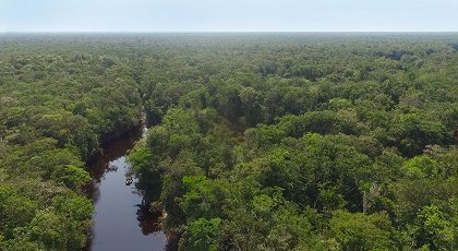 Uakari, Humboldtova ztracená opice