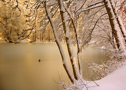 Vánoční krajina zázraků