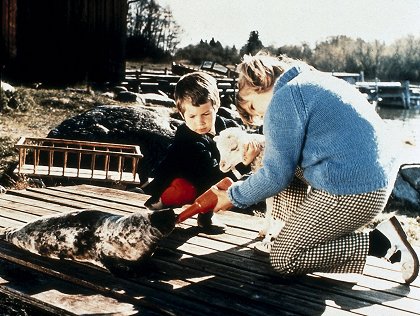 Vi på Saltkråkan