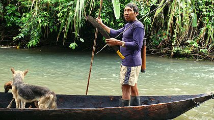 Via Amazonia
