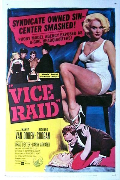 Vice Raid