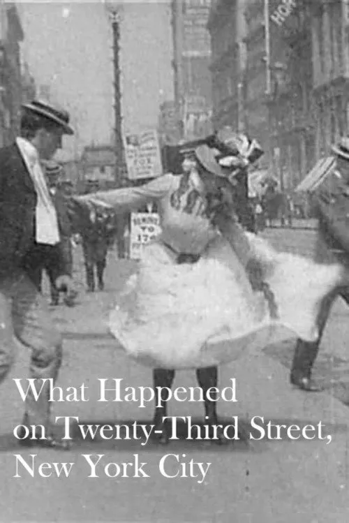 What Happened on Twenty-third Street, New York City
