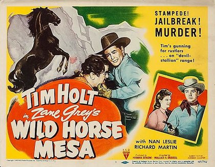 Wild Horse Mesa