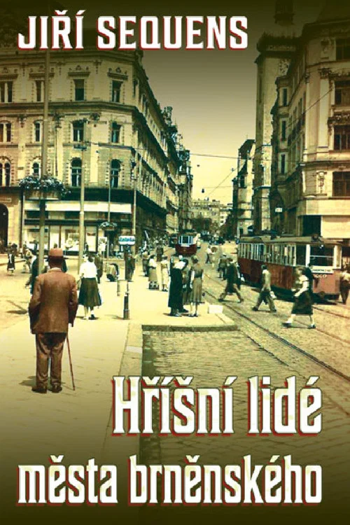 Záhadné zmizení Lily Košvancové