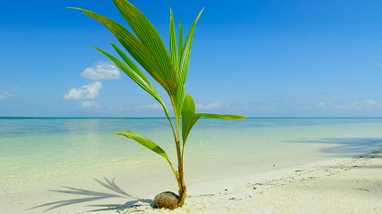Země: Základy naší planety