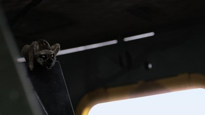 Zoombies 2